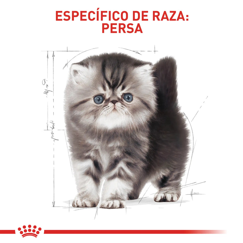 Alimento Royal Canin Fbn Persian Kitten 2 Kg