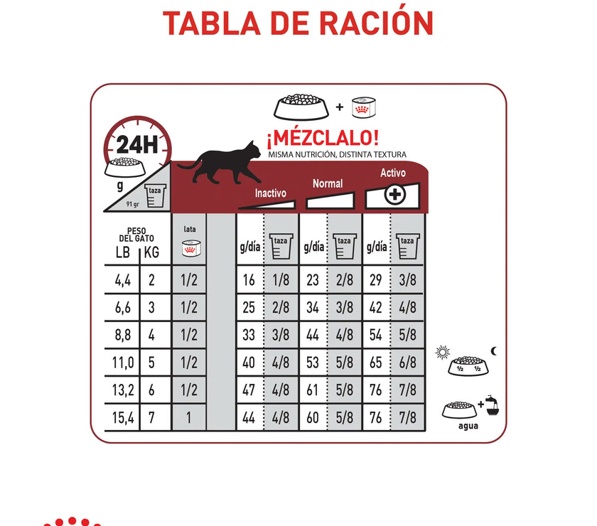 Alimento Royal Canin Fhn Adult Fit