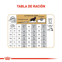 Alimento Royal Canin Bhn Cocker Adulto x 3 Kg