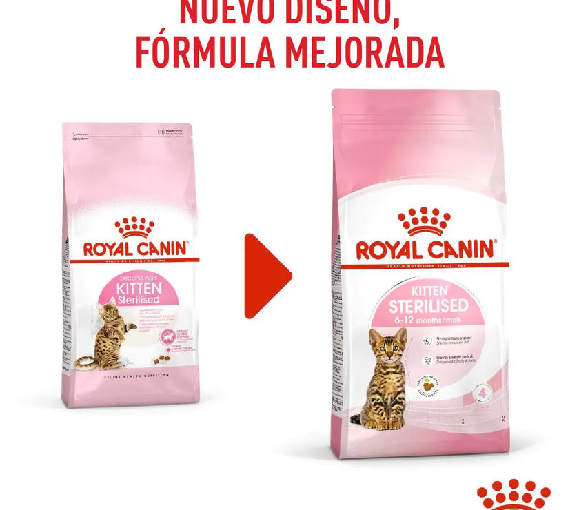 Alimento Royal Canin Fhn Kitten Esterilizado