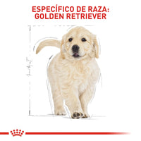 Alimento Royal Canin Bhn Golden Retriever Puppy
