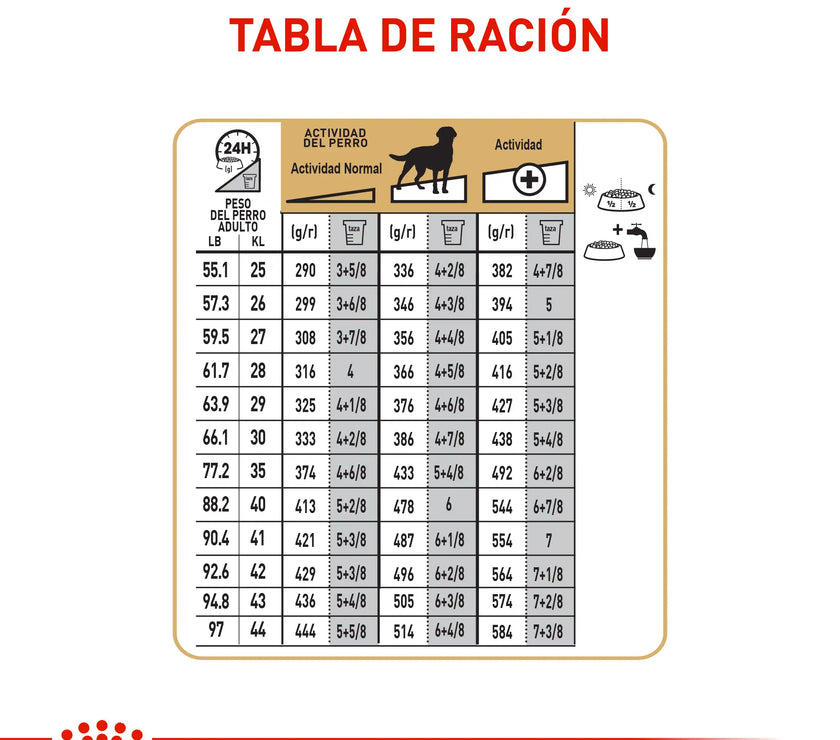 Alimento Royal Canin Bhn Labrador Adulto 13.6 Kg