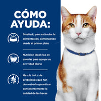 Hill's Prescription Diet Onc Care Alimento húmedo para Gato apoyo y recuperación