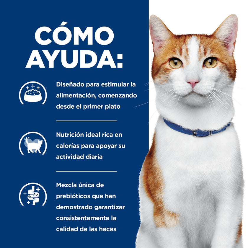 Hill's Prescription Diet Onc Care Alimento húmedo para Gato apoyo y recuperación