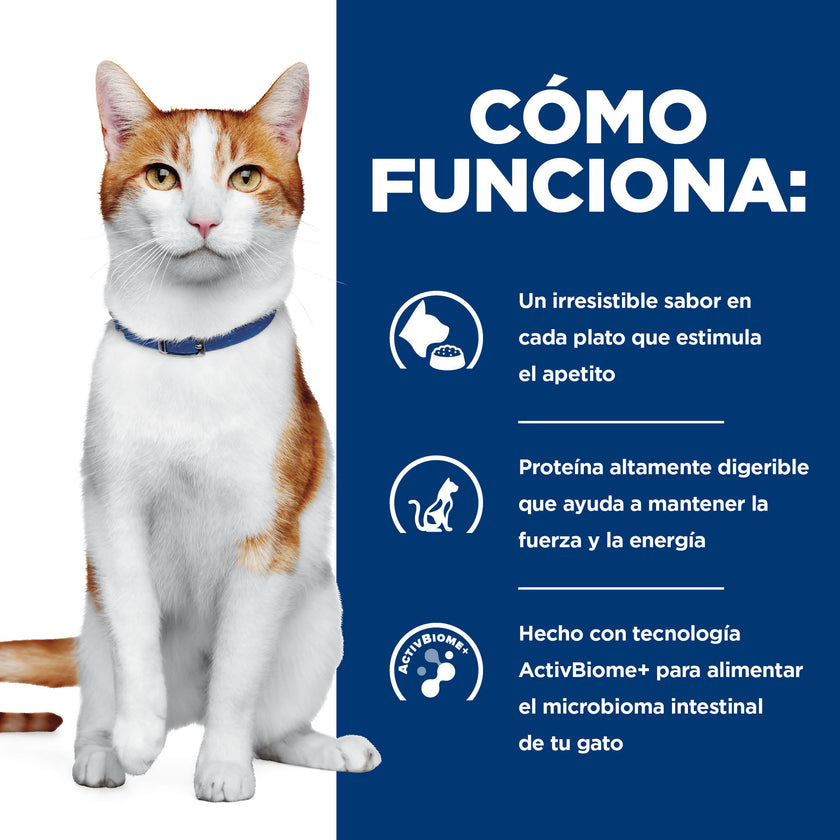 Hill's Prescription Diet Onc Care Alimento húmedo para Gato apoyo y recuperación