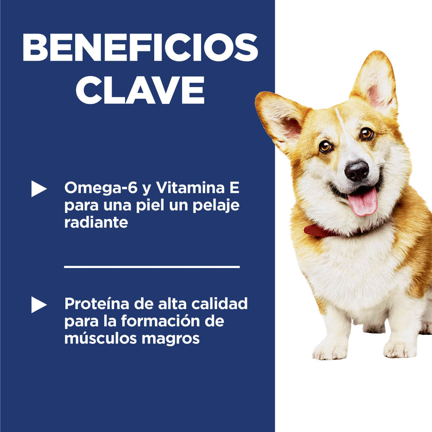 Hill's Science Diet Adult alimento para perro adulto raza pequeña sabor cordero