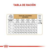 Alimento Royal Canin Bhn Pug Puppy x 1.13 Kg