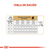 Alimento Royal Canin Bhn Bulldog Ingles Puppy