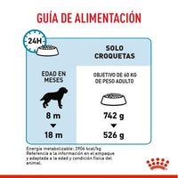 Alimento Royal Canin Shn Giant Adulto