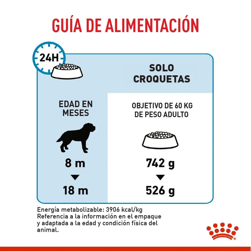 Alimento Royal Canin Shn Giant Adulto