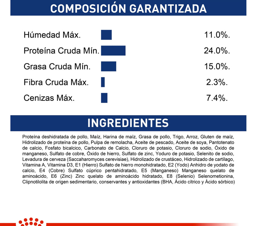 Alimento Royal Canin Shn Maxi Adulto - 4kg