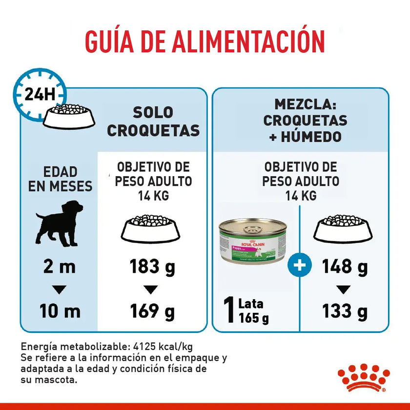 Alimento Royal Canin Shn Medium Puppy