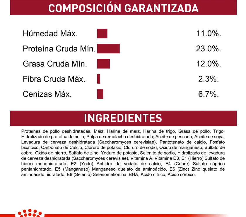 Alimento Royal Canin Shn Medium Adulto