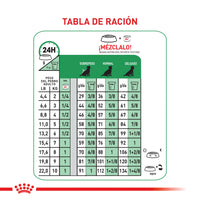 Alimento Royal Canin Shn Mini  Adulto