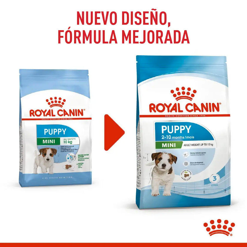 Alimento Royal Canin Shn Mini Puppy