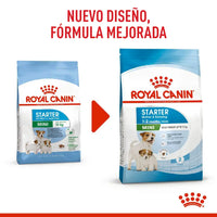 Alimento Royal Canin Shn Mini  Starter Mother & Baby Dog 1Kg