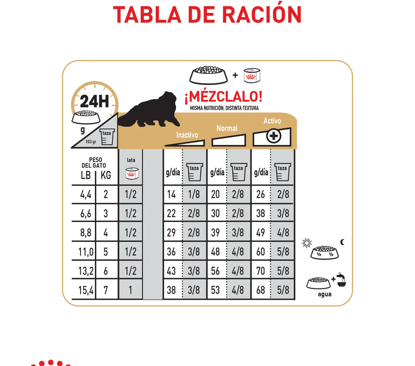Alimento Royal Canin Fbn Persian Adulto