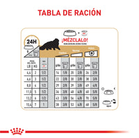 Alimento Royal Canin Fbn Persian Adulto