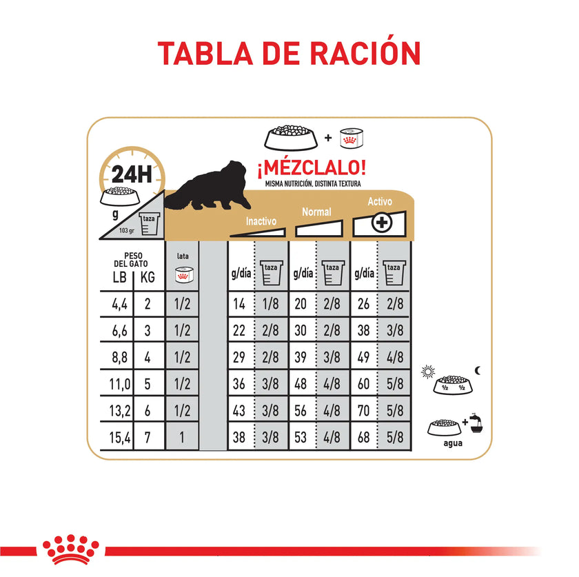 Alimento Royal Canin Fbn Persian Adulto