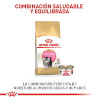 Alimento Royal Canin Fbn Persian Kitten 2 Kg