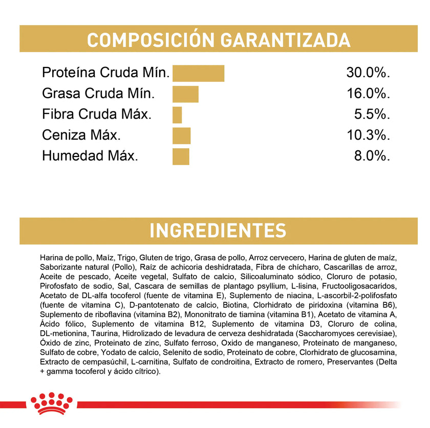 Alimento Royal Canin Fbn Ragdoll Adulto 2Kg