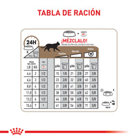 Alimento Royal Canin Fhn Ageing 12+ 2Kg