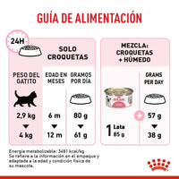 Alimento Royal Canin Fhn Kitten Esterilizado