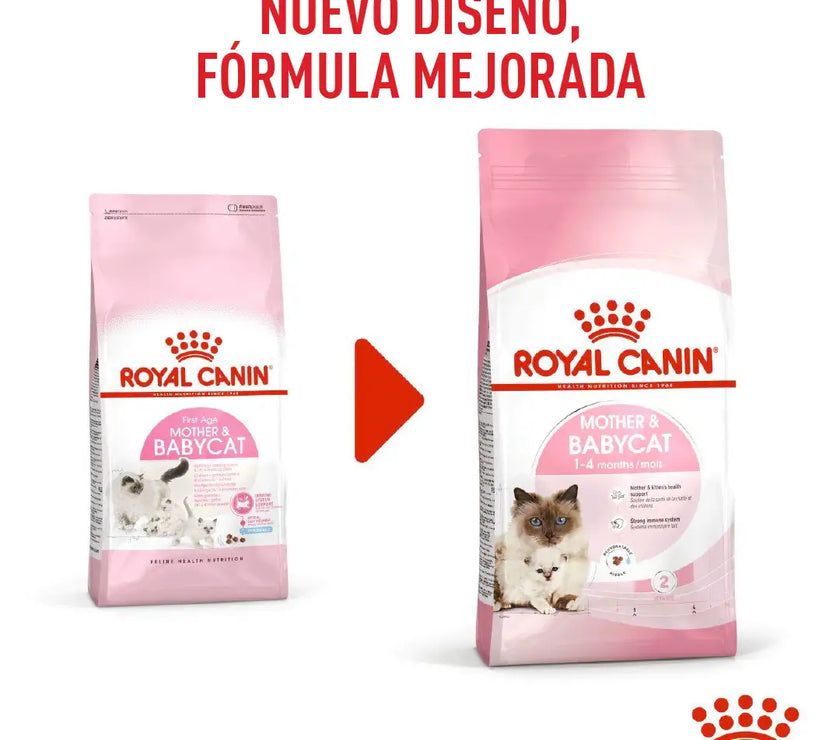 Alimento Royal Canin Fhn Mother&Babycat