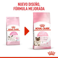 Alimento Royal Canin Fhn Mother&Babycat