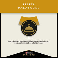 Comida Para Para Gatos Adultos Poco Activos O Con Exceso De Peso Purina Pro Plan X 3 Kg