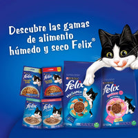 Alimento Para Gatos Purina Felix Adulto Triple Delicious Mar x 1.5 Kg
