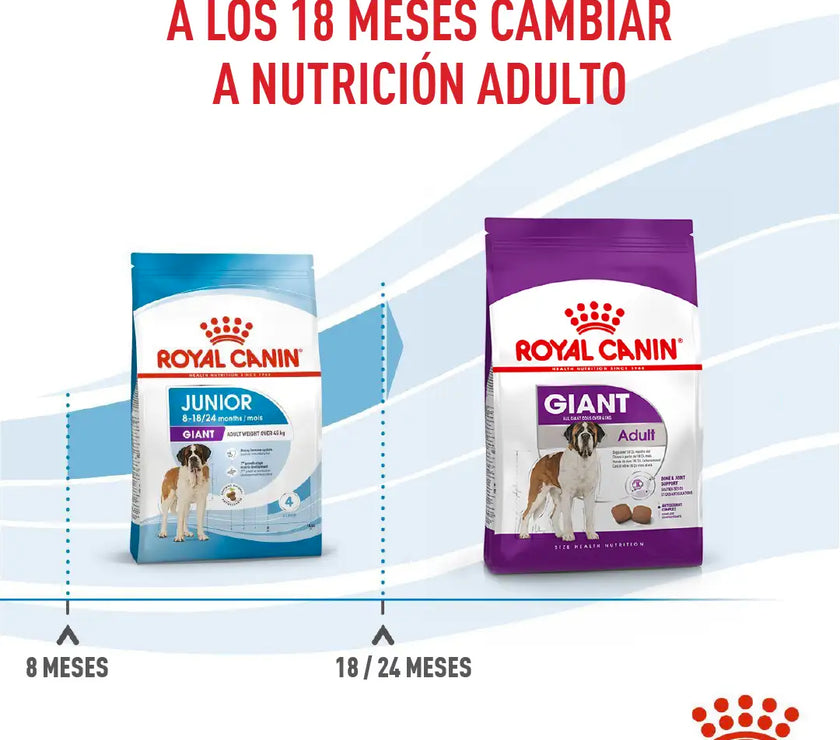 Alimento Royal Canin Shn Giant Adulto