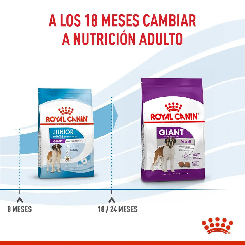 Alimento Royal Canin Shn Giant Adulto