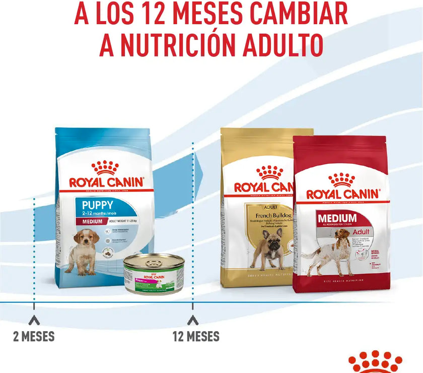 Alimento Royal Canin Shn Medium Puppy