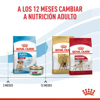 Alimento Royal Canin Shn Medium Puppy
