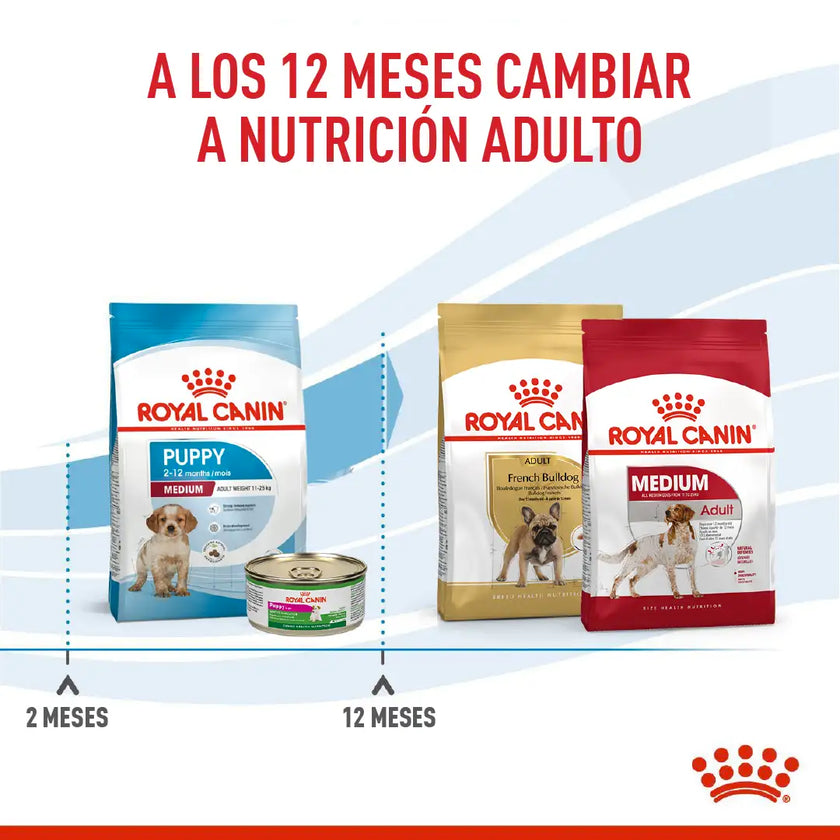 Alimento Royal Canin Shn Medium Puppy