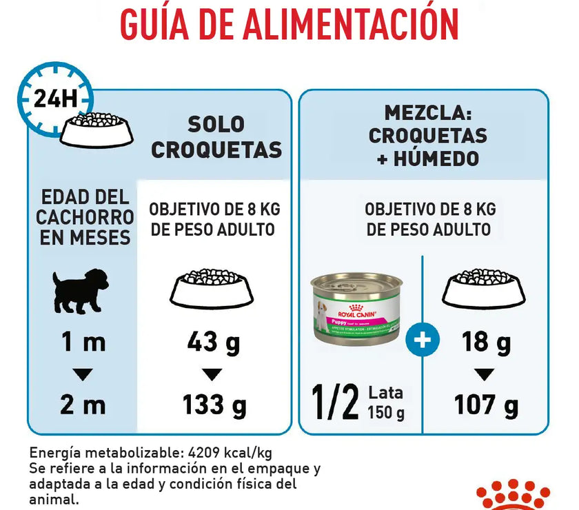 Alimento Royal Canin Shn Mini  Starter Mother & Baby Dog 1Kg