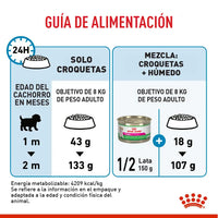 Alimento Royal Canin Shn Mini  Starter Mother & Baby Dog 1Kg