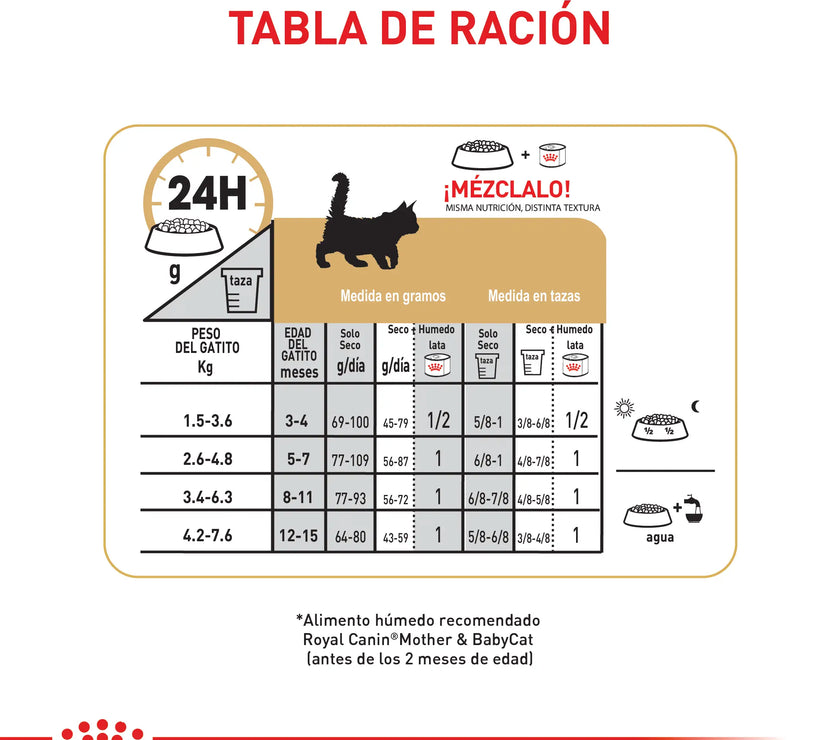 Alimento Royal Canin Fbn Maine Coon Kitten 4 Kg