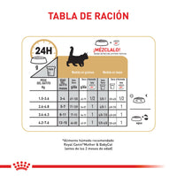 Alimento Royal Canin Fbn Maine Coon Kitten 4 Kg