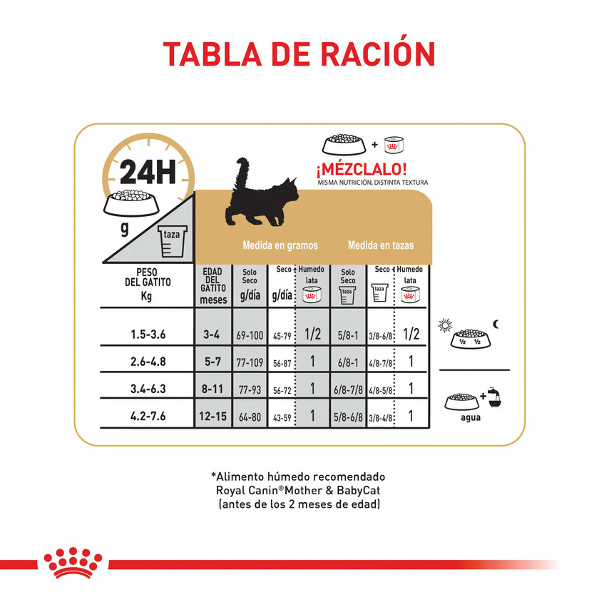 Alimento Royal Canin Fbn Maine Coon Kitten 4 Kg