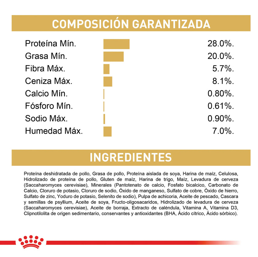 Alimento Royal Canin Fbn Persian Adulto