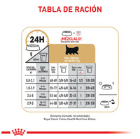 Alimento Royal Canin Fbn Persian Kitten 2 Kg