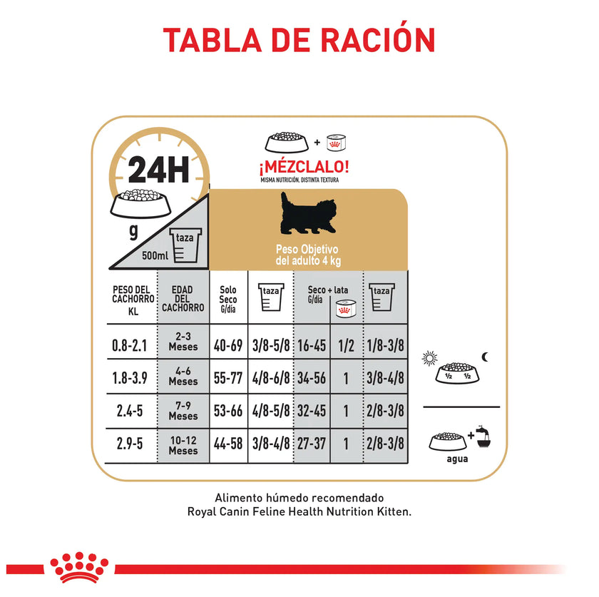 Alimento Royal Canin Fbn Persian Kitten 2 Kg