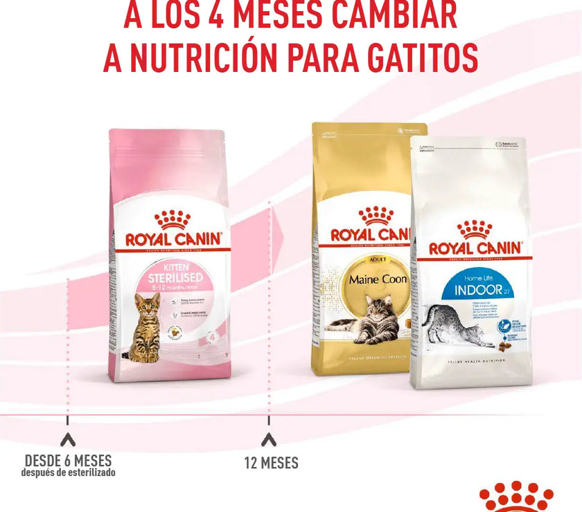 Alimento Royal Canin Fhn Kitten Esterilizado