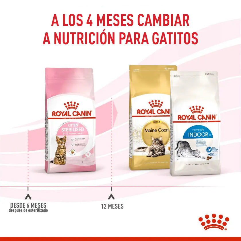 Alimento Royal Canin Fhn Kitten Esterilizado