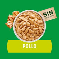 Comida Húmeda Para Perro Dog Chow Cachorros Pollo X 100 GR