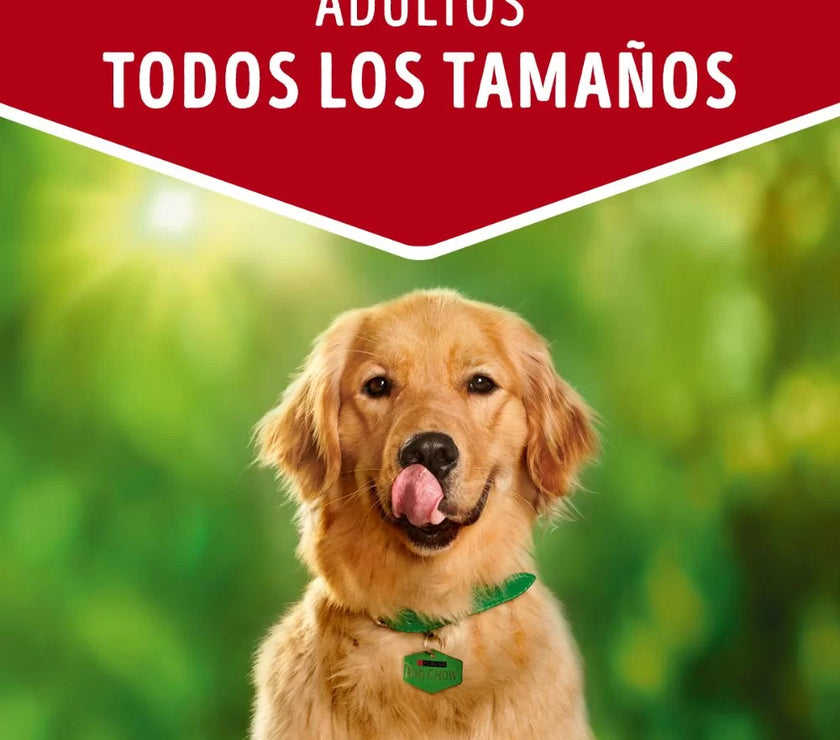 Comida Húmeda Para Perro Dog Chow Todos Los Tamaños Con Carne X 100 GR