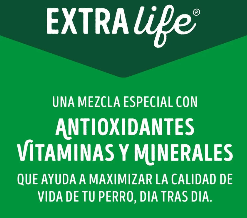 Comida Húmeda Para Perro Dog Chow Todos Los Tamaños Con Carne X 100 GR