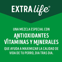 Comida Húmeda Para Perro Dog Chow Todos Los Tamaños Con Carne X 100 GR